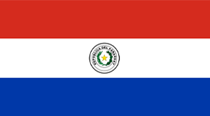 bandera paraguaya