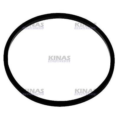 ANILLO GOMA UNIDAD INYECTORA/VALVULA COMBUSTIBLE MOTOR HPI R380/420 | 1778301