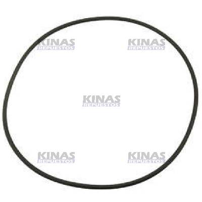 ANILLO/GOMA MAZA TRASERO SCANIA 111/112/113 A CUBO (NITRI) | 392309