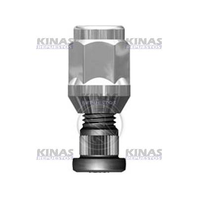 PRISIONERO COMPL DEL BLAZERO/D-20/S-10 M12X41MM | 4001234