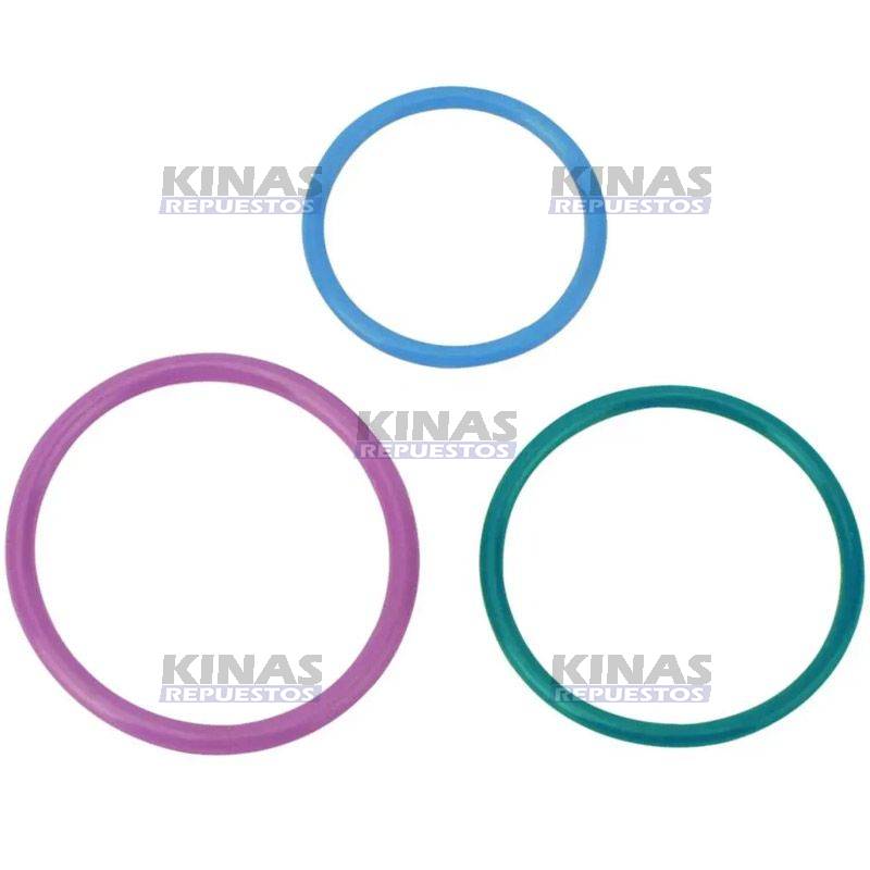 REPARO UNIDADE MOTOR INJ P94/114/124 PDE PARCIAL | 1422564/040.668/1.31206/S09049DT