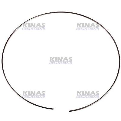 ANILLO SEGURO CAJA DISCO REDUCTORA SCANIA 111/112/113 GR860/GR870/GR871 | 184492