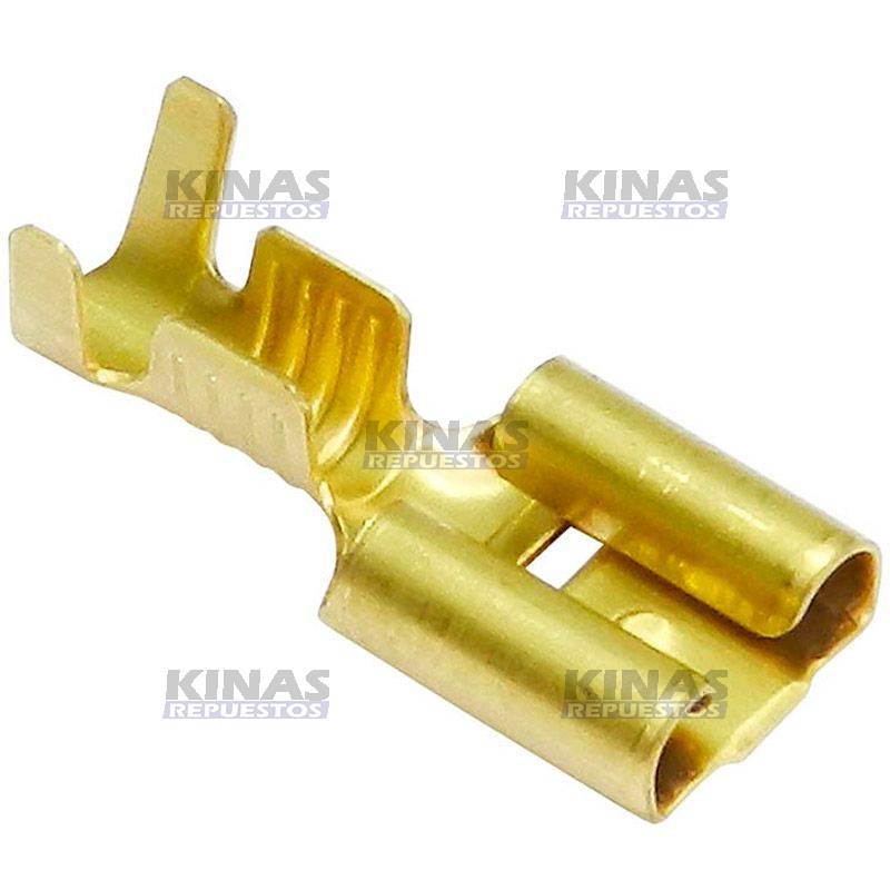 TERMINAL ELETRICO HEMBRA C/TRAVA (GRANDE) | IM-181/S-953055