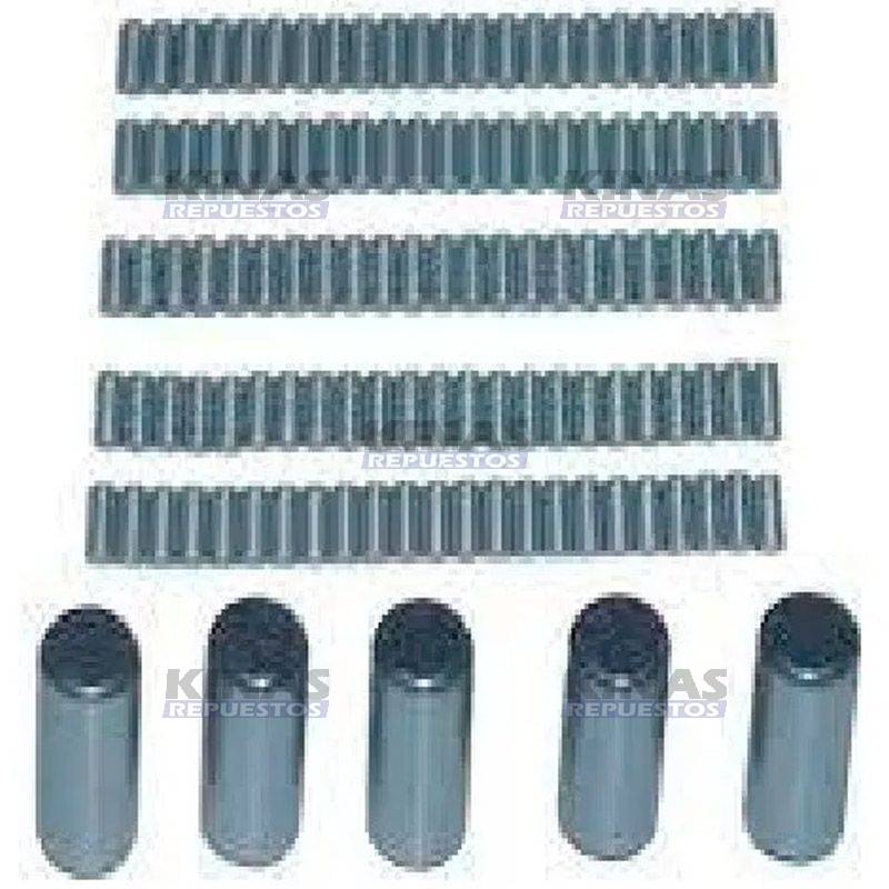 JG RODILLO/RULEMAN AGUJA ENGRENAJE 1º CAJA CAMBIO MBB 1113/2213 | PES-303