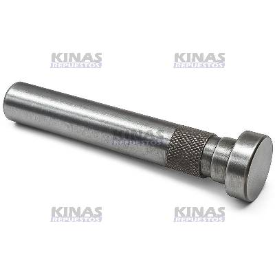 PERNO/PINO BISAGRA PUERTA CABINA SCANIA P94/114/124/S4/S5 (SUPERIOR) | 1422293/2125180/1.22882