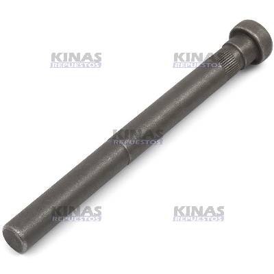 PERNO/PINO BISAGRA PUERTA CABINA SCANIA S5 (INFERIOR) | 1490107/2125181/1.22886