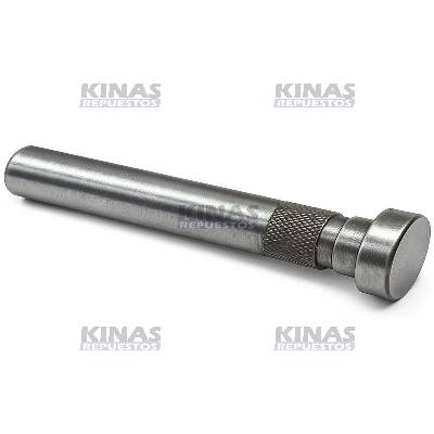 PERNO/PINO BISAGRA PUERTA CABINA SCANIA P94/114/124/S4/S5 (INFERIOR) | 1383419