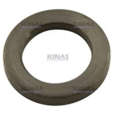 ARANDELA ACOPLE LAMINA BOMBA INYECTORA SCANIA 113 10MM | 306704/1111496