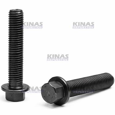 BULON/TORNILLO BRAZO BIELA MOTOR FTP/NET IVECO TECTOR 260E30 | 2831297