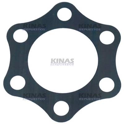 LAMINA ACOPLE BOMBA INYECTORA MOTOR SCANIA 113 | 001498/318523