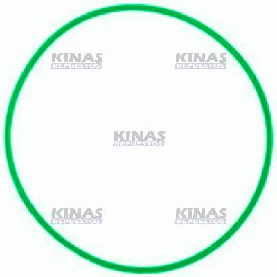 ANILLO/GOMA MORINGA CAMBIO SCANIA 112/113 204X4 GR870/GR871 10 MARCHAS VERDE | 1309563