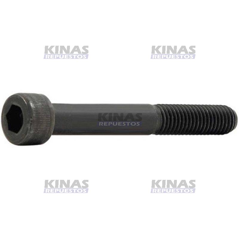 TORNILLO KIT ESTICADOR CINTA TANQUE COMBUSTIBLE SCANIA 111/112/113 | 306133P
