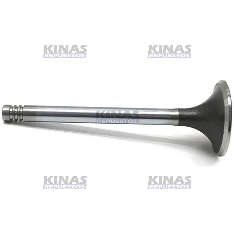 VALVULA TAPA MOTOR ADMISION MWM D225/226/229 | VS1134