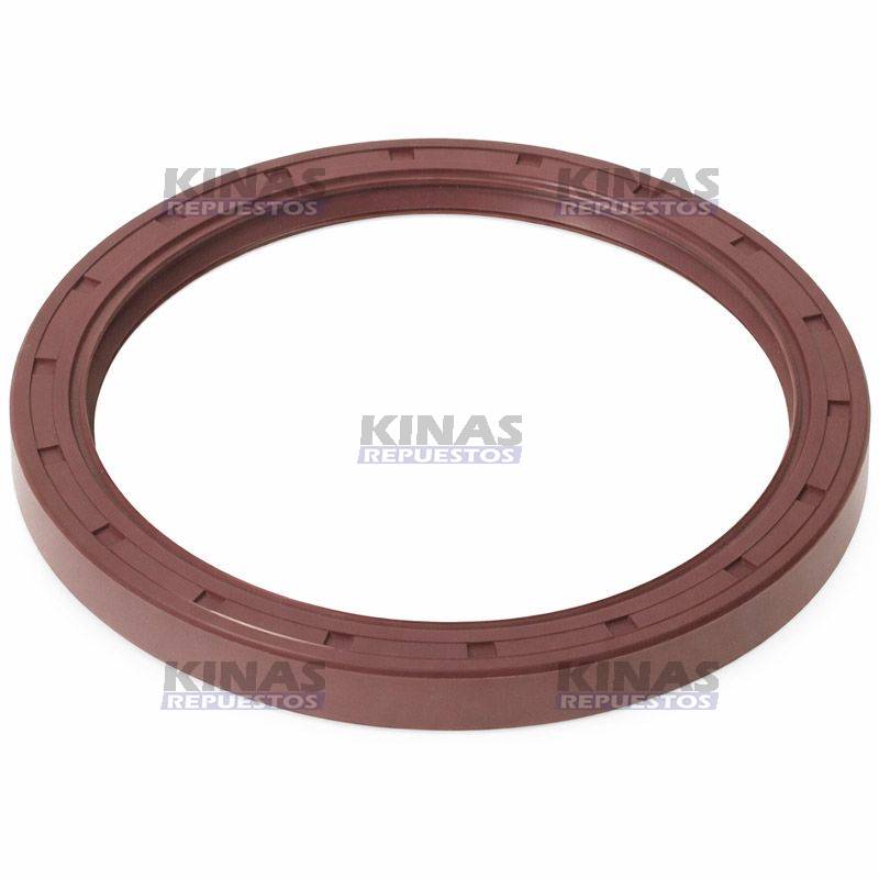 RETEN VIRABREQUIM/CIGUENAL TRASERO MOTOR SCANIA 111/112/113/S3 (RESORTE) | 369478/1.10214/S09032DT/02069/07343V