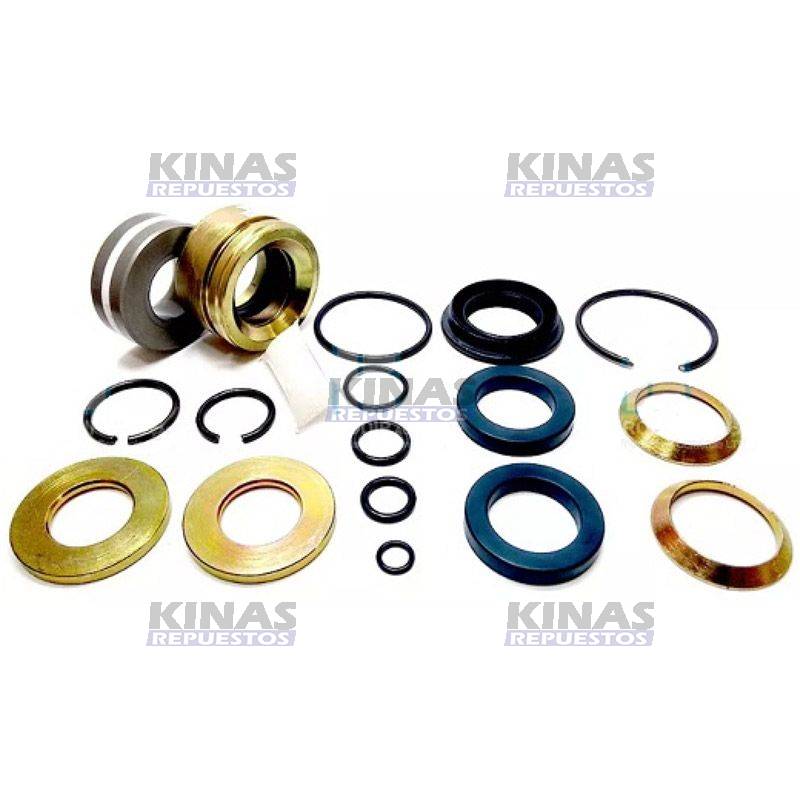 REPARO CILINDRO PISTON HIDRAULICO ALZA CABINA S4/S5 (COMPLETO) | 1541976/RDA0914