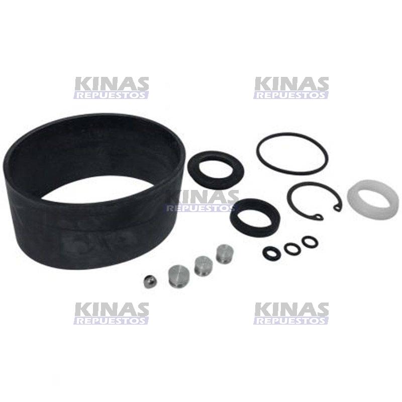 REPARO HIDROSTATICO 42MM FORD 6600/6610/7610 42MM | 3603111