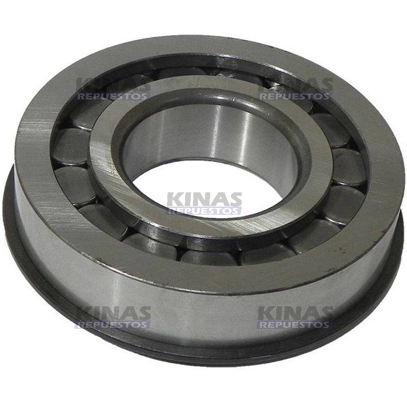 RULEMAN PUNTA PINON BERSO DIFERENCIAL SCANIA 112/113 | 61211/19002/NJ309/315824/F45917
